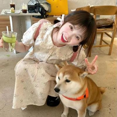 警察与女兵国语